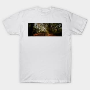 Misty Morning in Preston Park T-Shirt